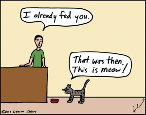 61-RightMeowC